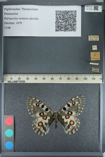Media type: image;   Entomology 174994